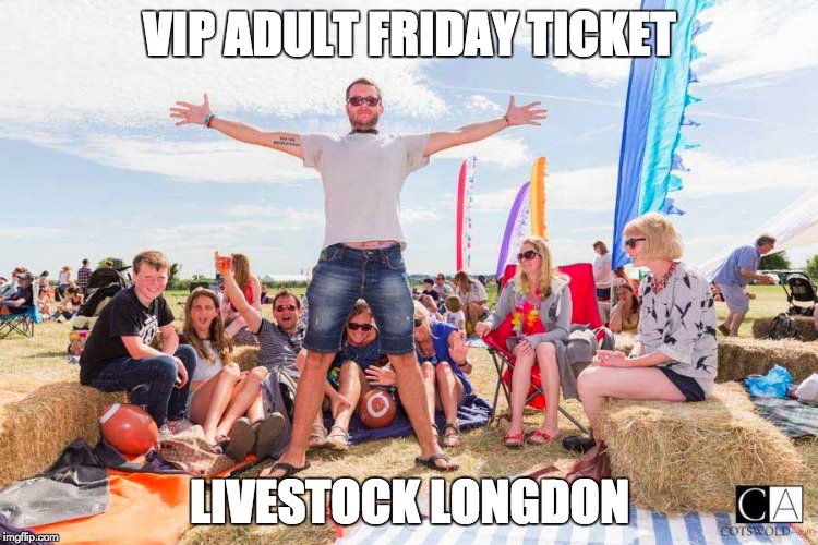 VIP Adult Friday Ticket